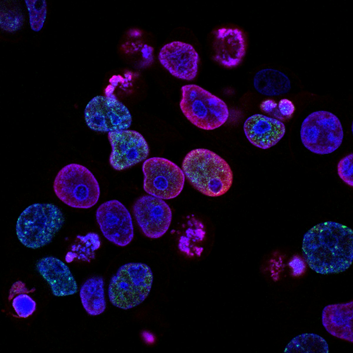 Precision Medicine Online coverage
